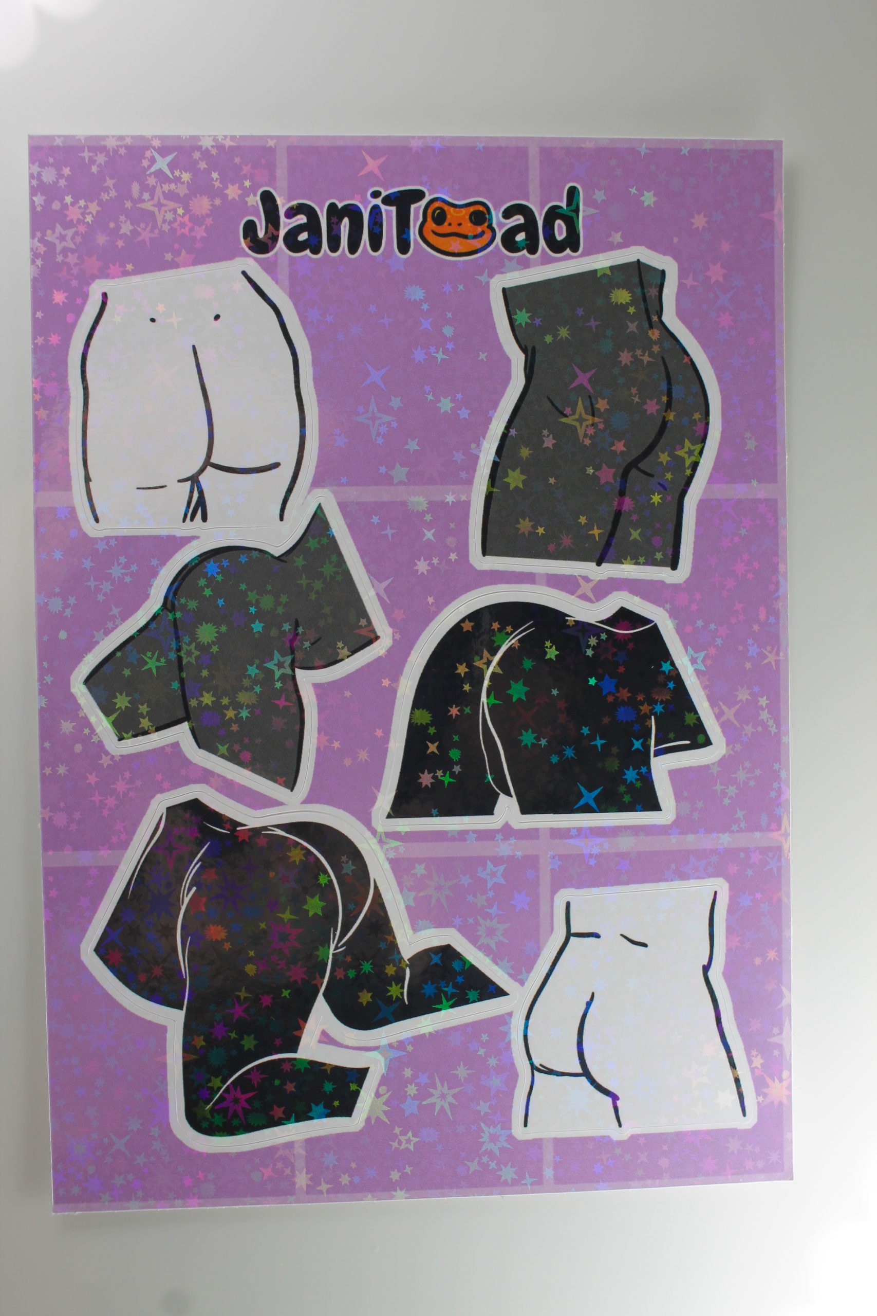 Glossy Stickers - Janitoad